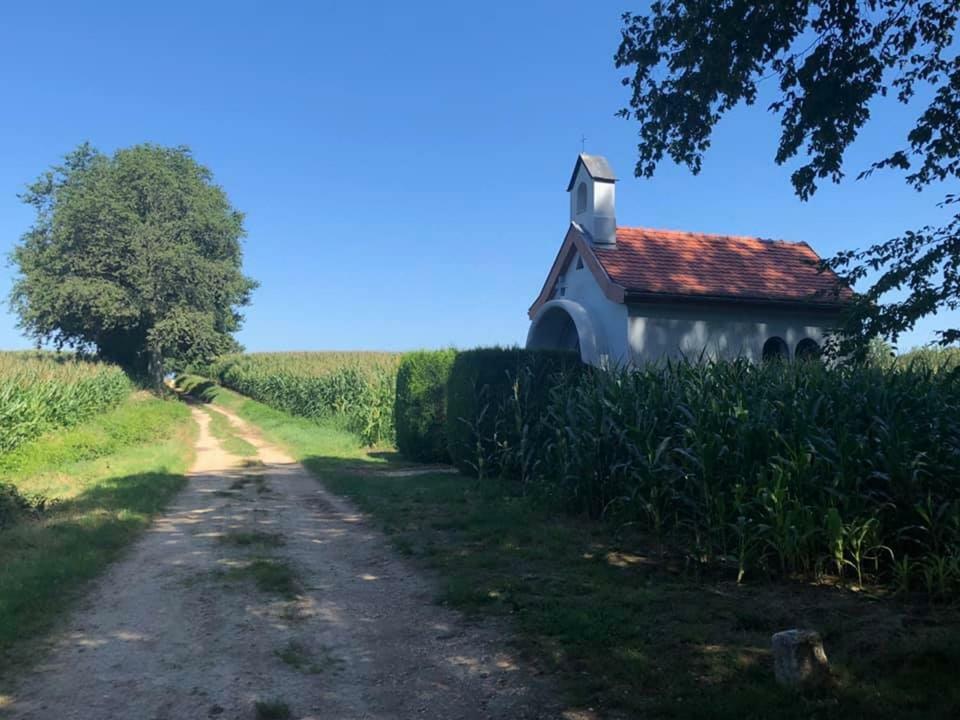 Lo'Gite L'Allee Du Val Lalaye ภายนอก รูปภาพ
